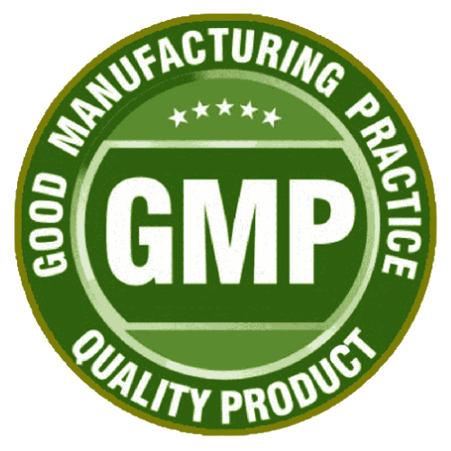 GMP Logo